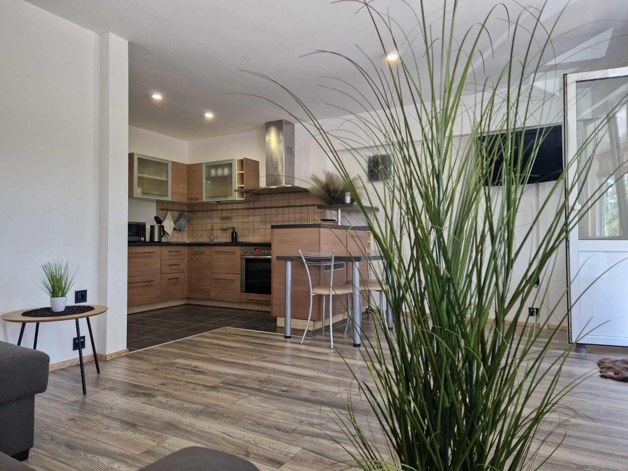 Duplex Apartment Vilte Druskininkai Exterior foto