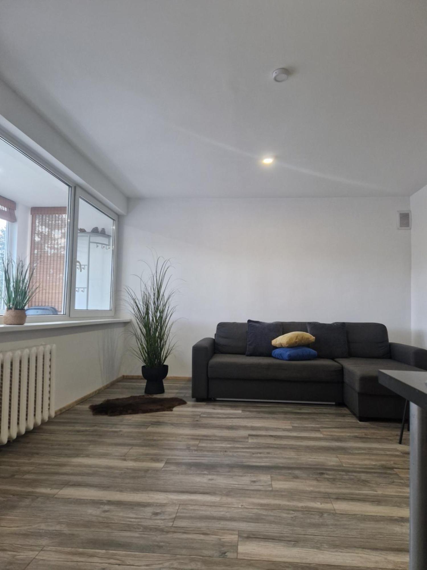 Duplex Apartment Vilte Druskininkai Exterior foto